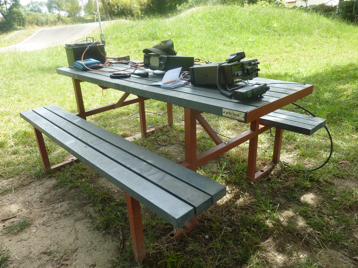 P1090165.jpg